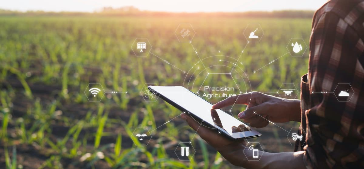 Best Practices For Farmers To Reduce Nitrogen Pollution