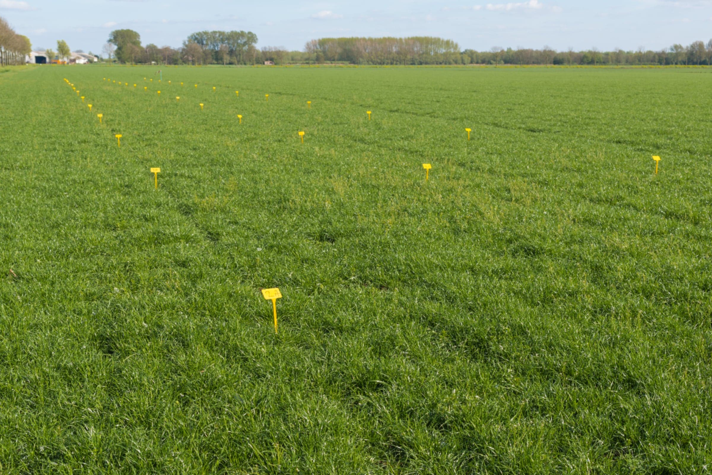 Field of field trials.