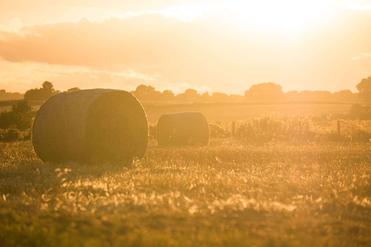 Field and hay balls.