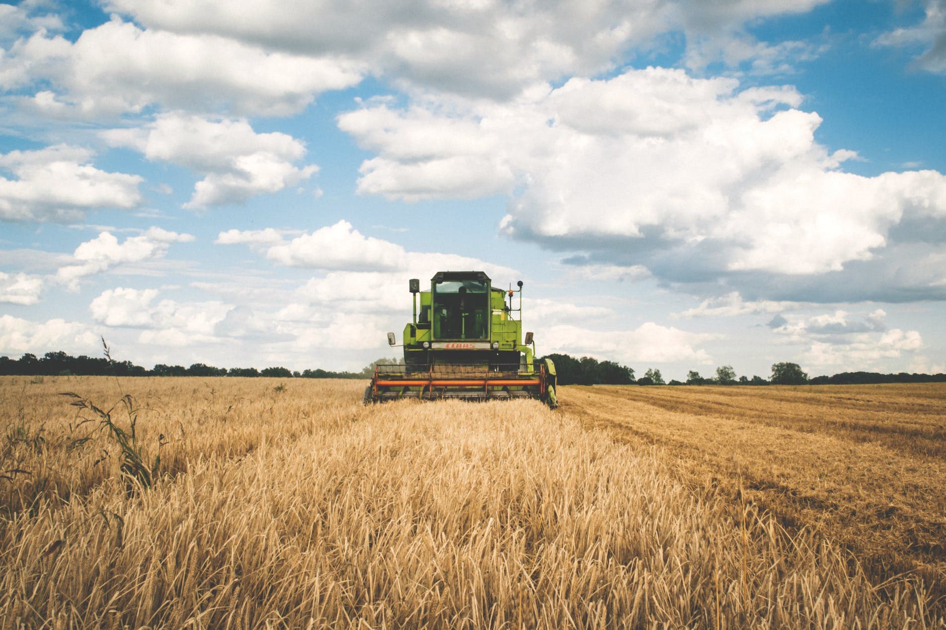 Tractor on field.