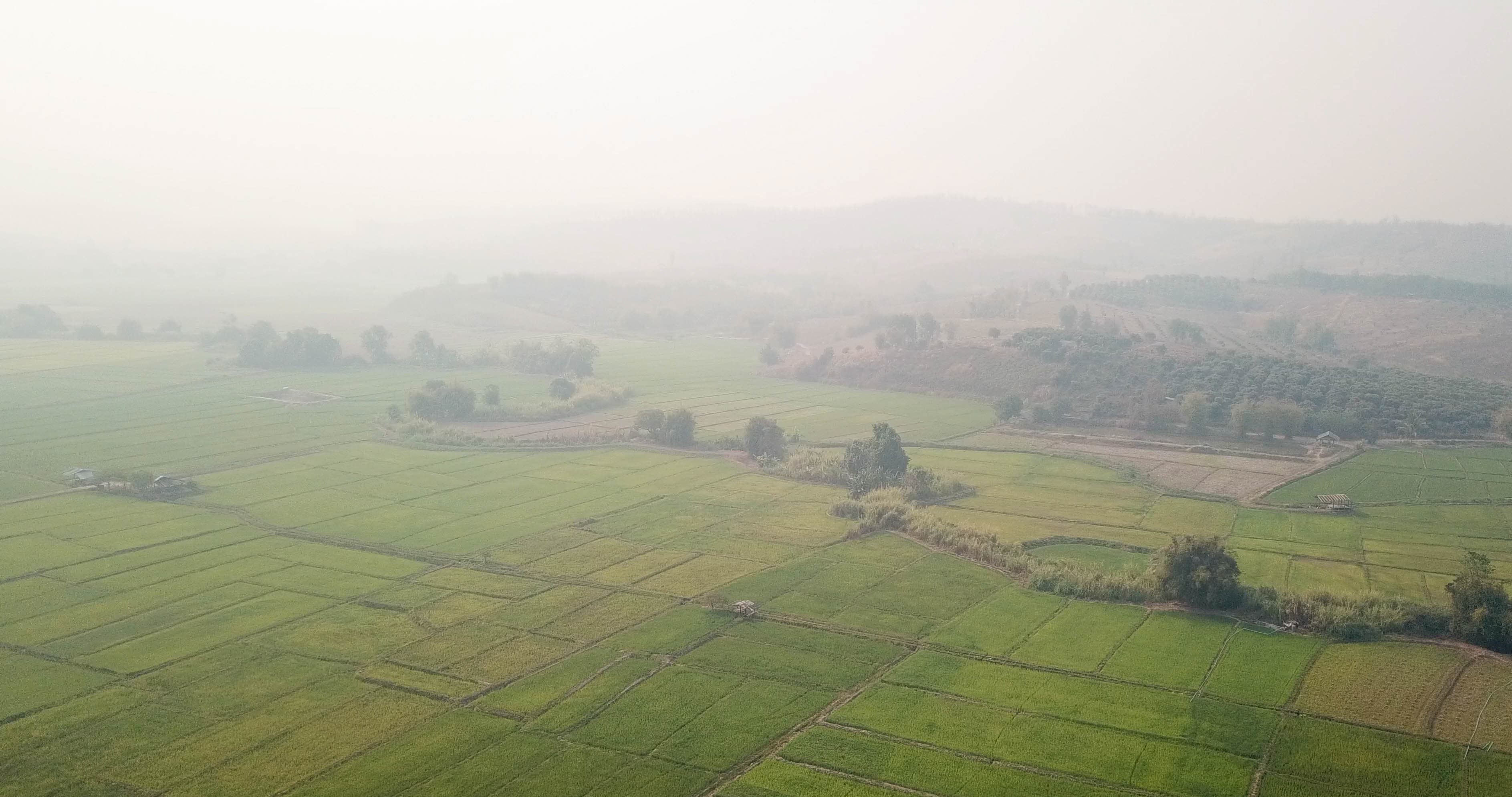 Ammonia air pollution